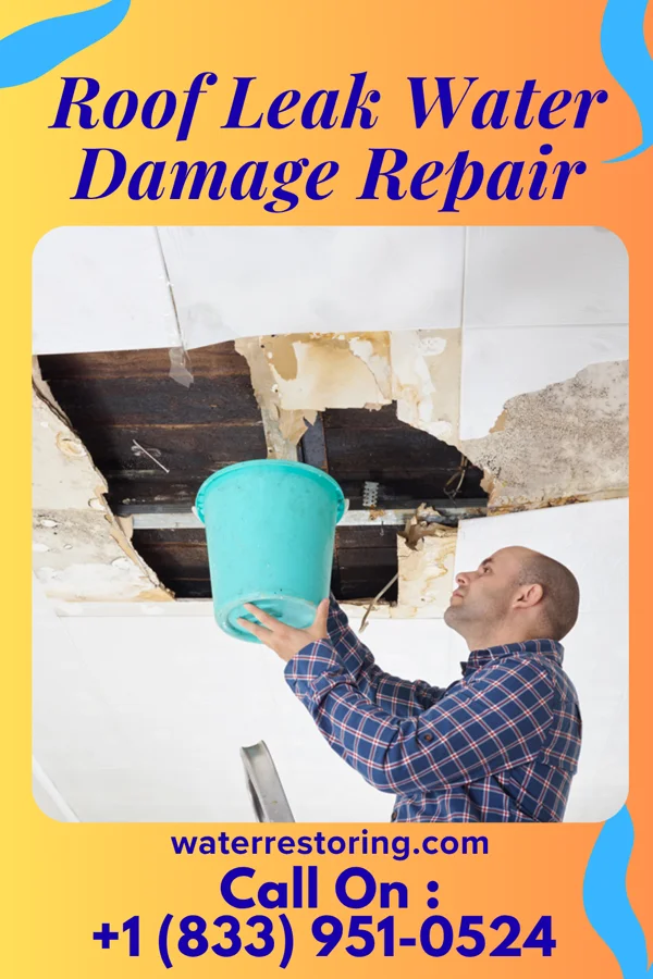 Roof Leak Water Damage Repair in West Peoria, IL