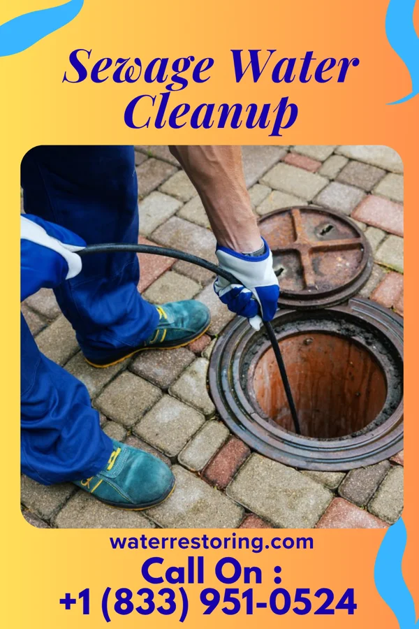 Sewage Water Cleanup in West Peoria, IL