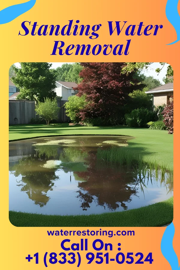 Standing Water Removal in West Peoria, IL